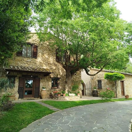 All'Ombra Di San Damiano Asís Exterior foto