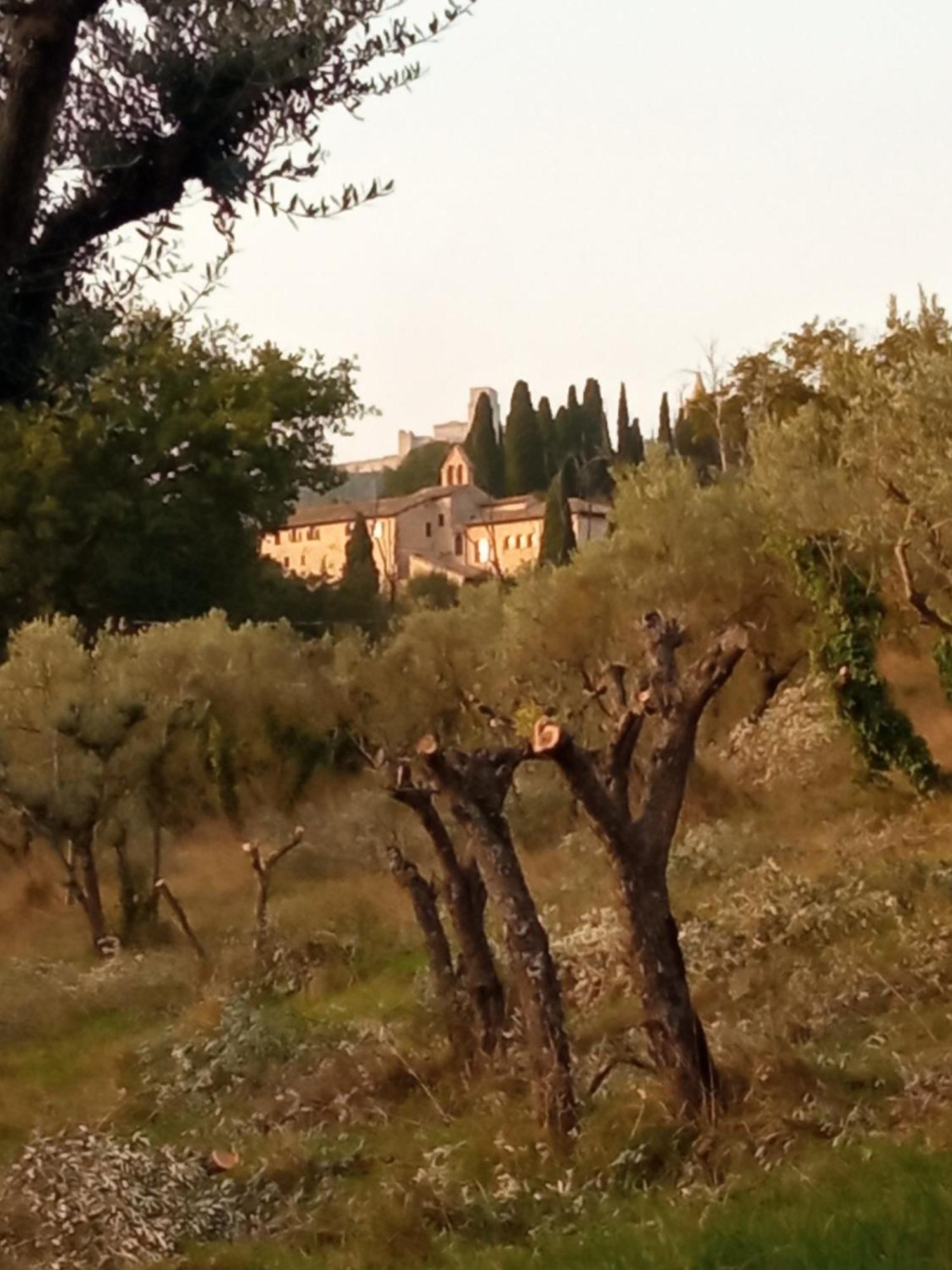 All'Ombra Di San Damiano Asís Exterior foto